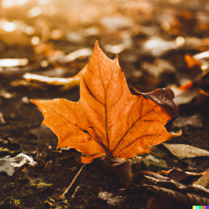 Boosting Immunity in October ! The top Supplements to Prepare for the Cold Season