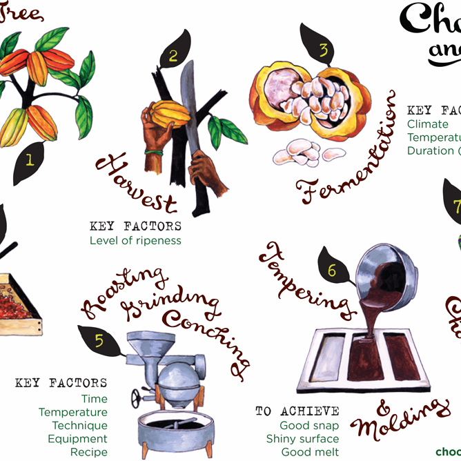 What goes into making delicious Chocolate and Love Bars: