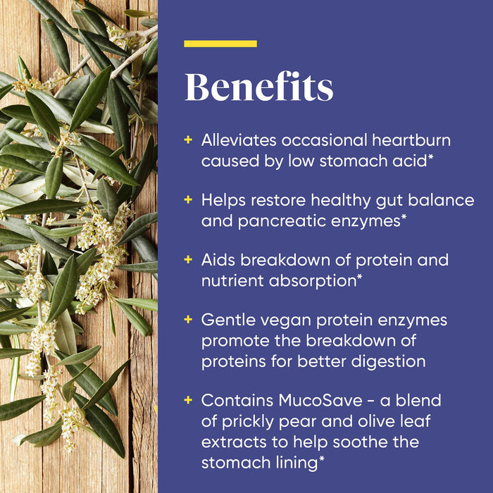 Enzymedica Betaine HCI 600mg 60 Capsules