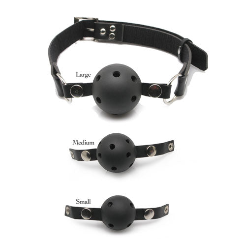 Best prices on PipeDream Fetish Fantasy Series Ball Gag Training System