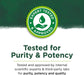 Swanson Pumpkin Seed Oil 1,000 mg 100 Softgels | Premium Supplements at HealthPharm.co.uk