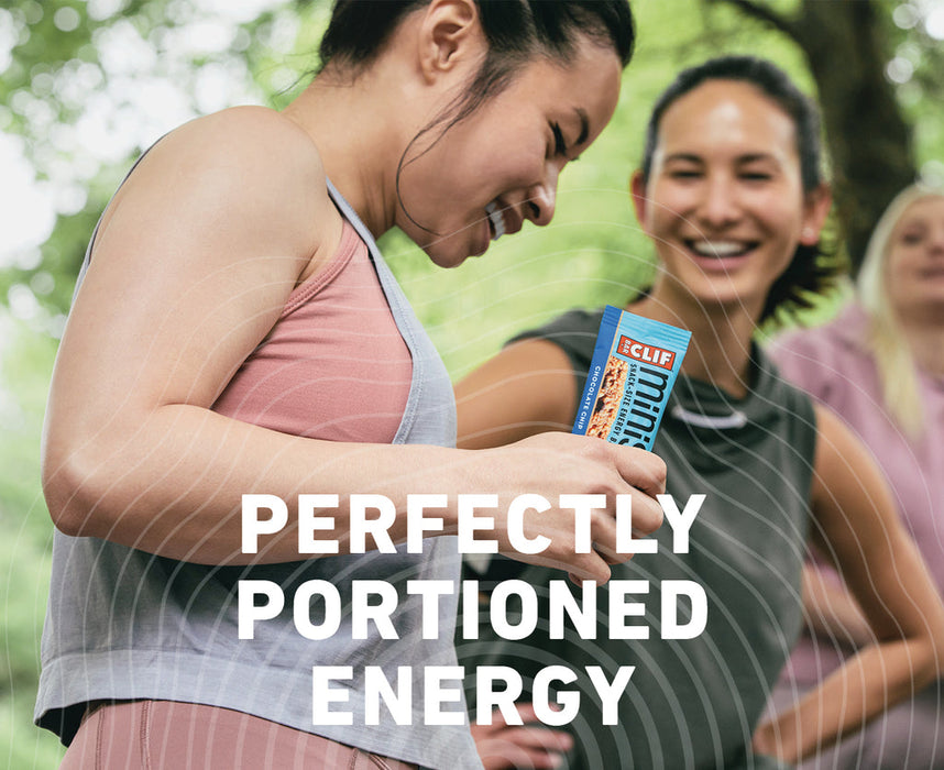 Clif Bar Chocolate Chip Minis 10 Pack