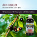 Best Price on Dynamic Health 473ml 100 Percent Pure Black Cherry Juice Concentrate